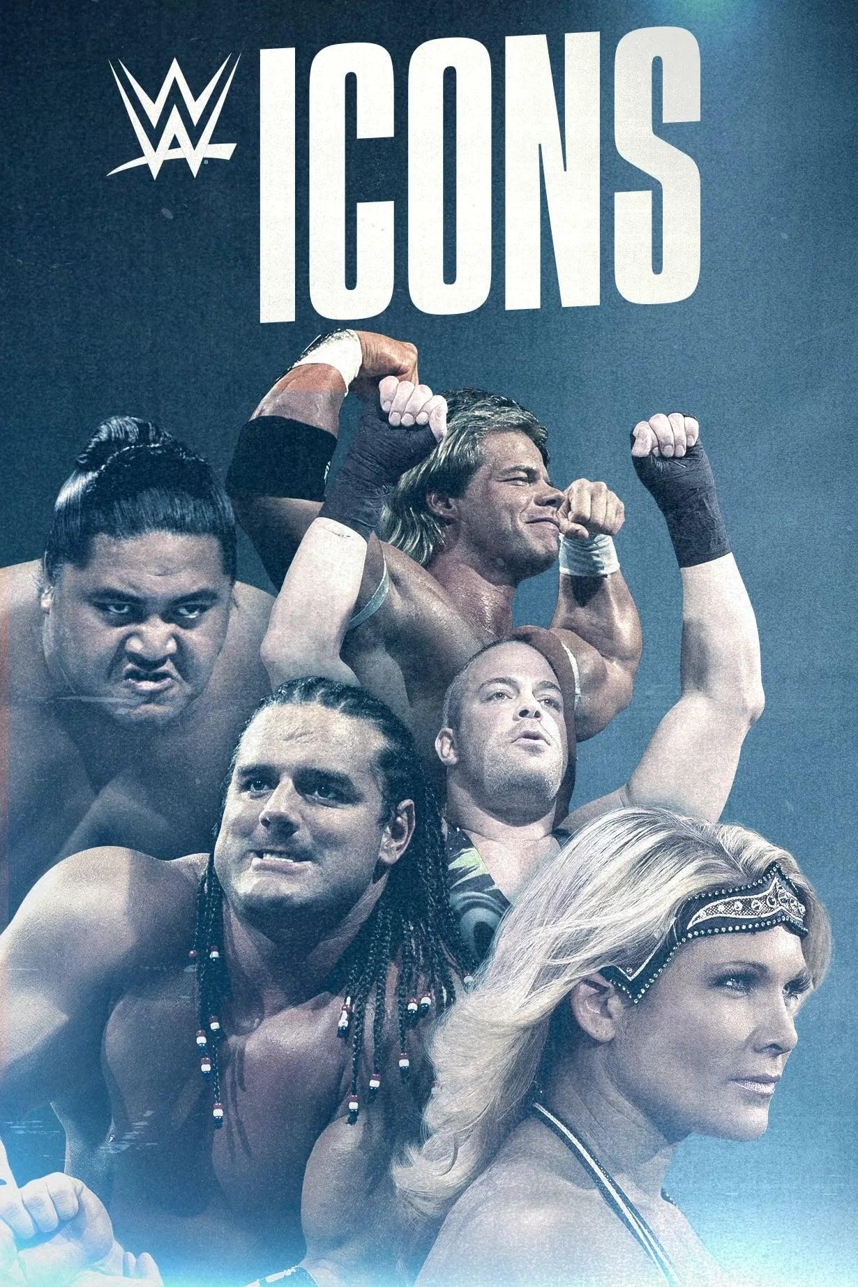 WWE Icons poster