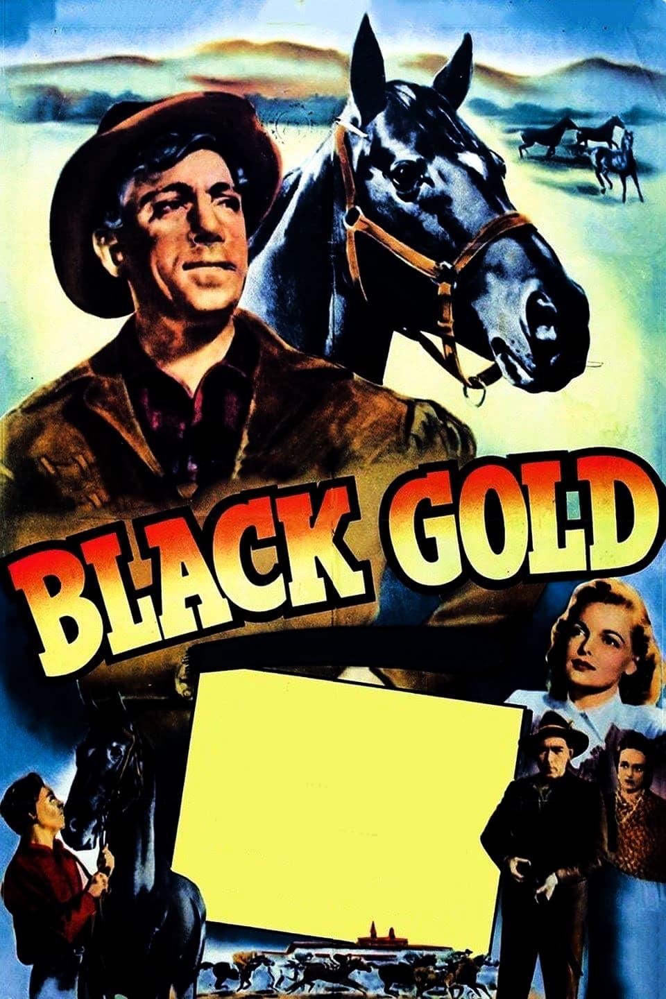 Black Gold poster