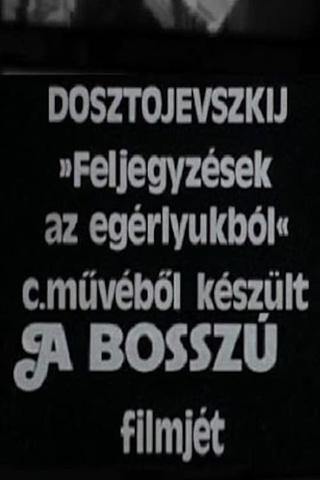 A bosszú poster