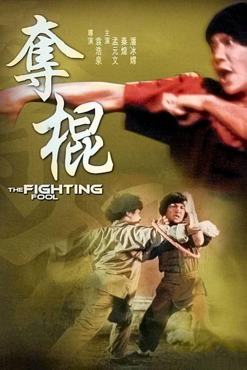 The Fighting Fool poster