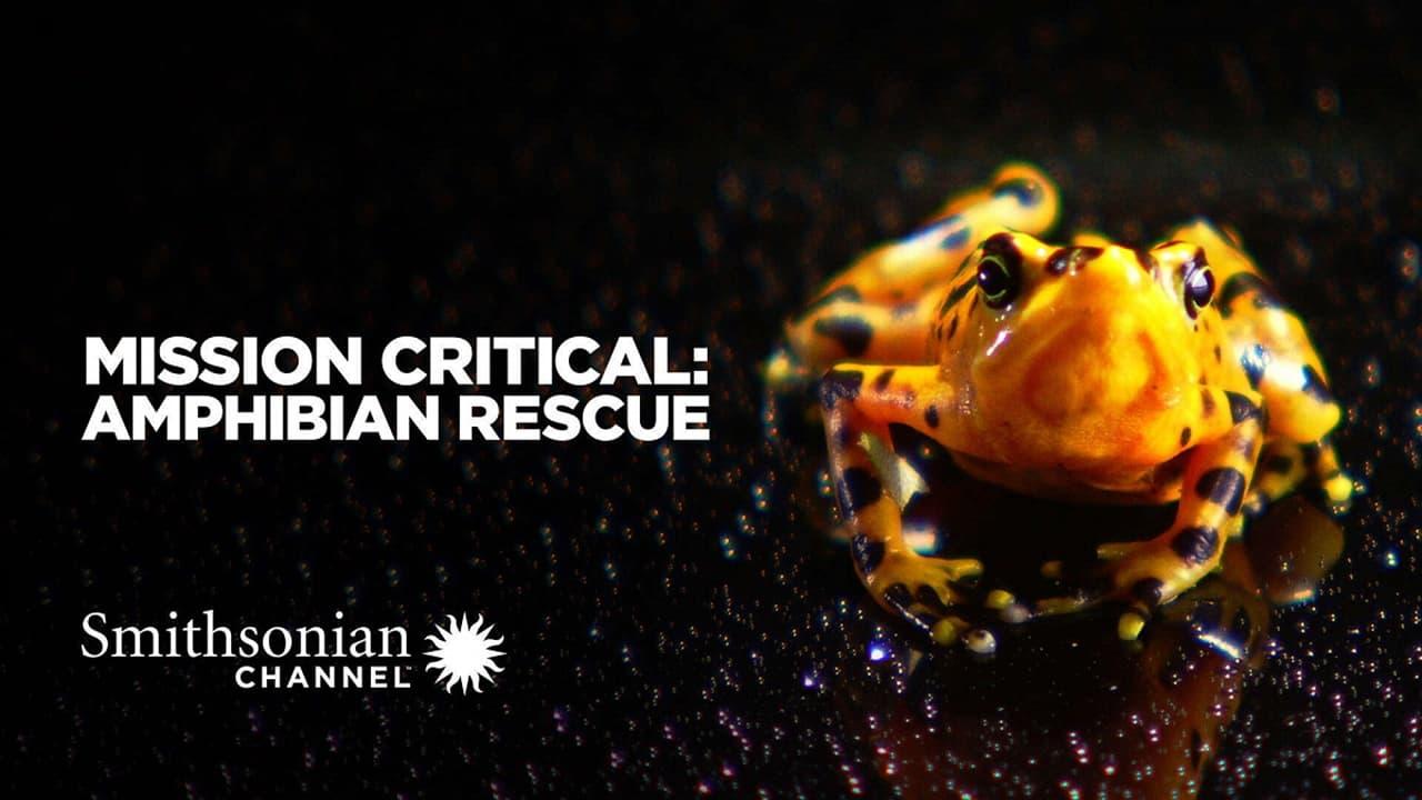 Mission Critical: Amphibian Rescue backdrop