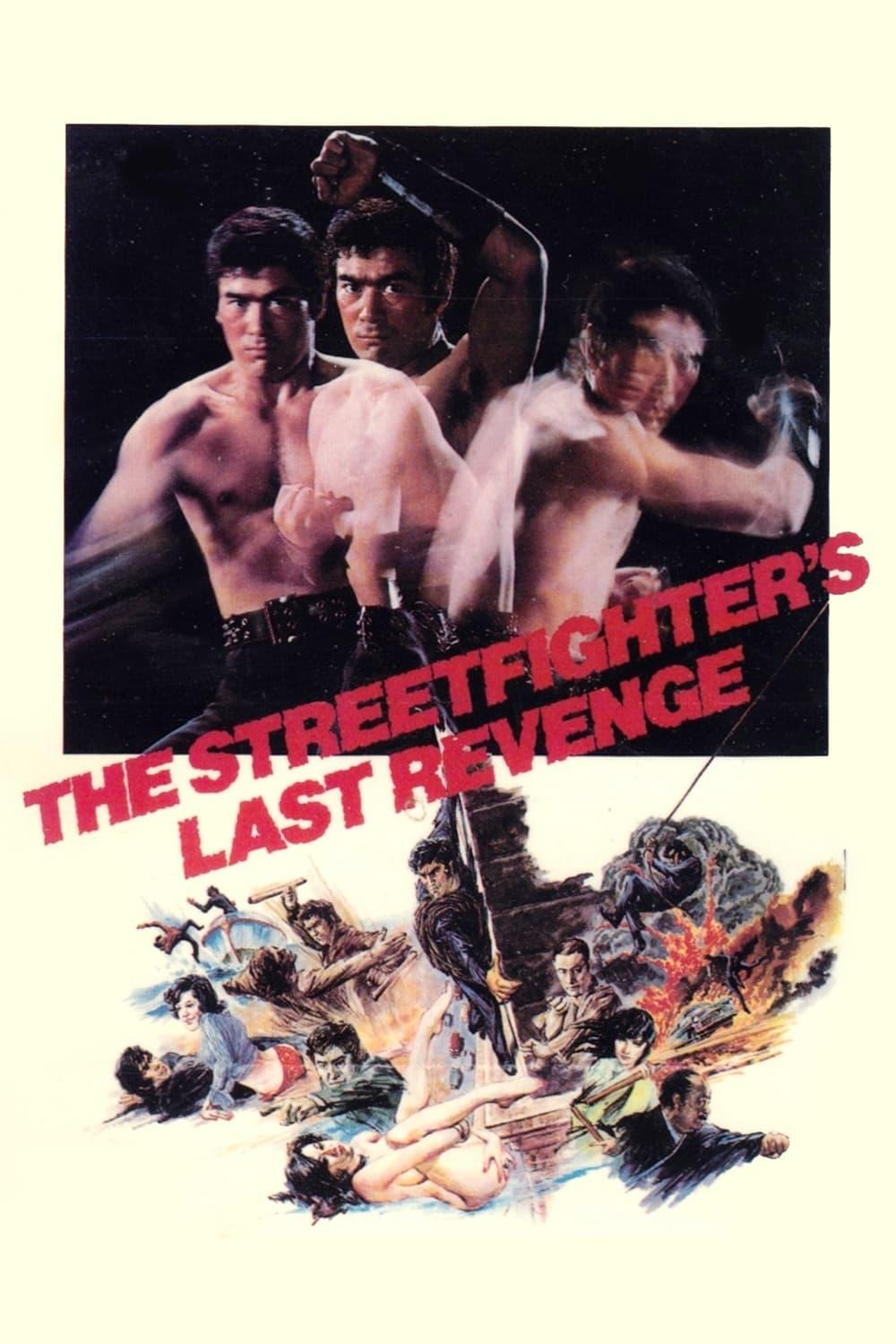 The Street Fighter's Last Revenge poster