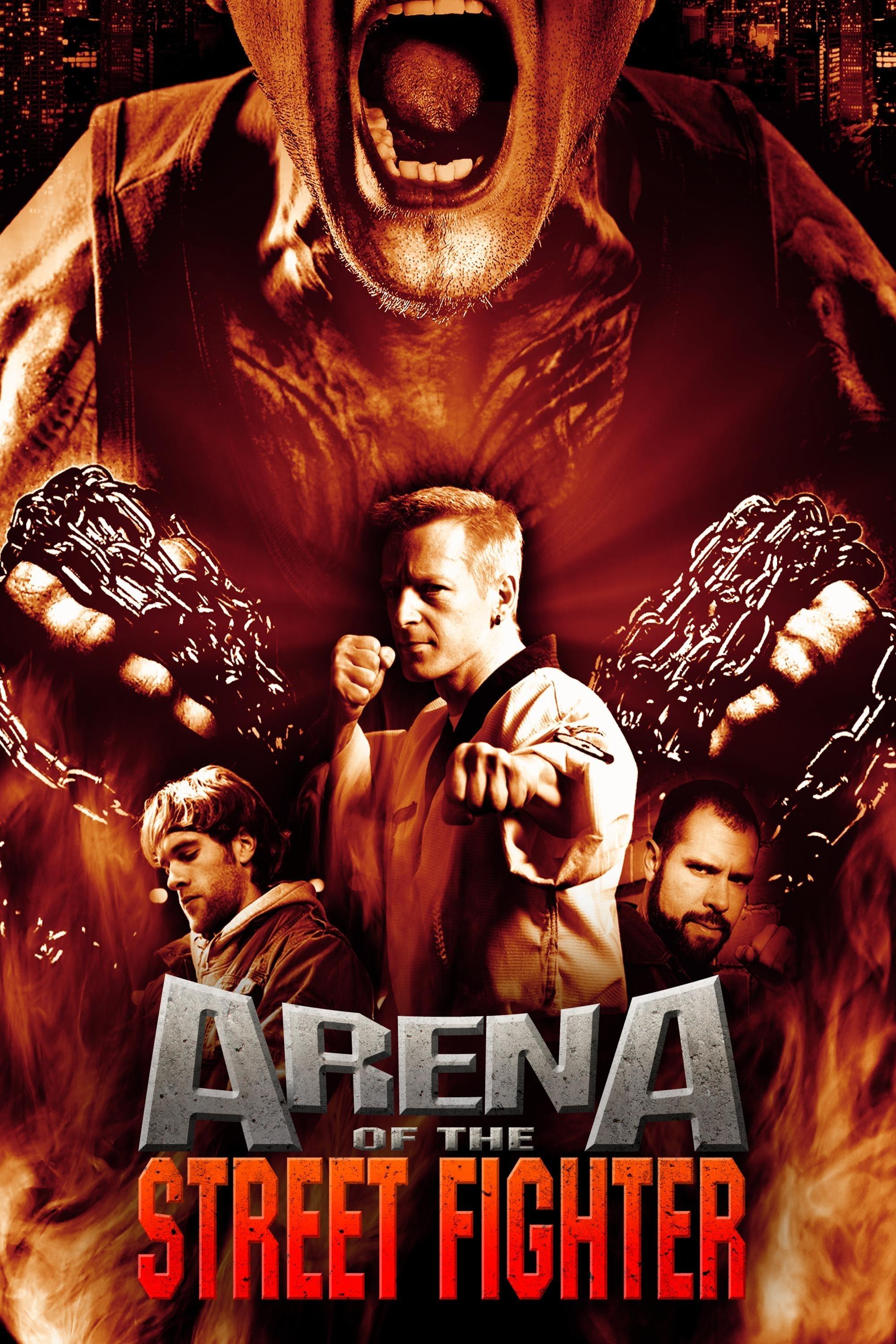 Arena of the Street Fighter poster