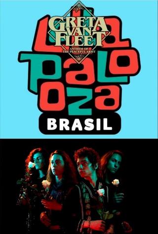Greta Van Fleet: Lollapalooza Brazil 2019 poster