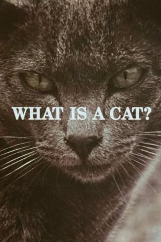 What Is a Cat? poster