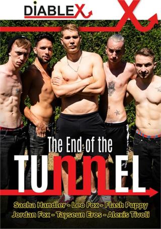 The End of the Tunnel poster
