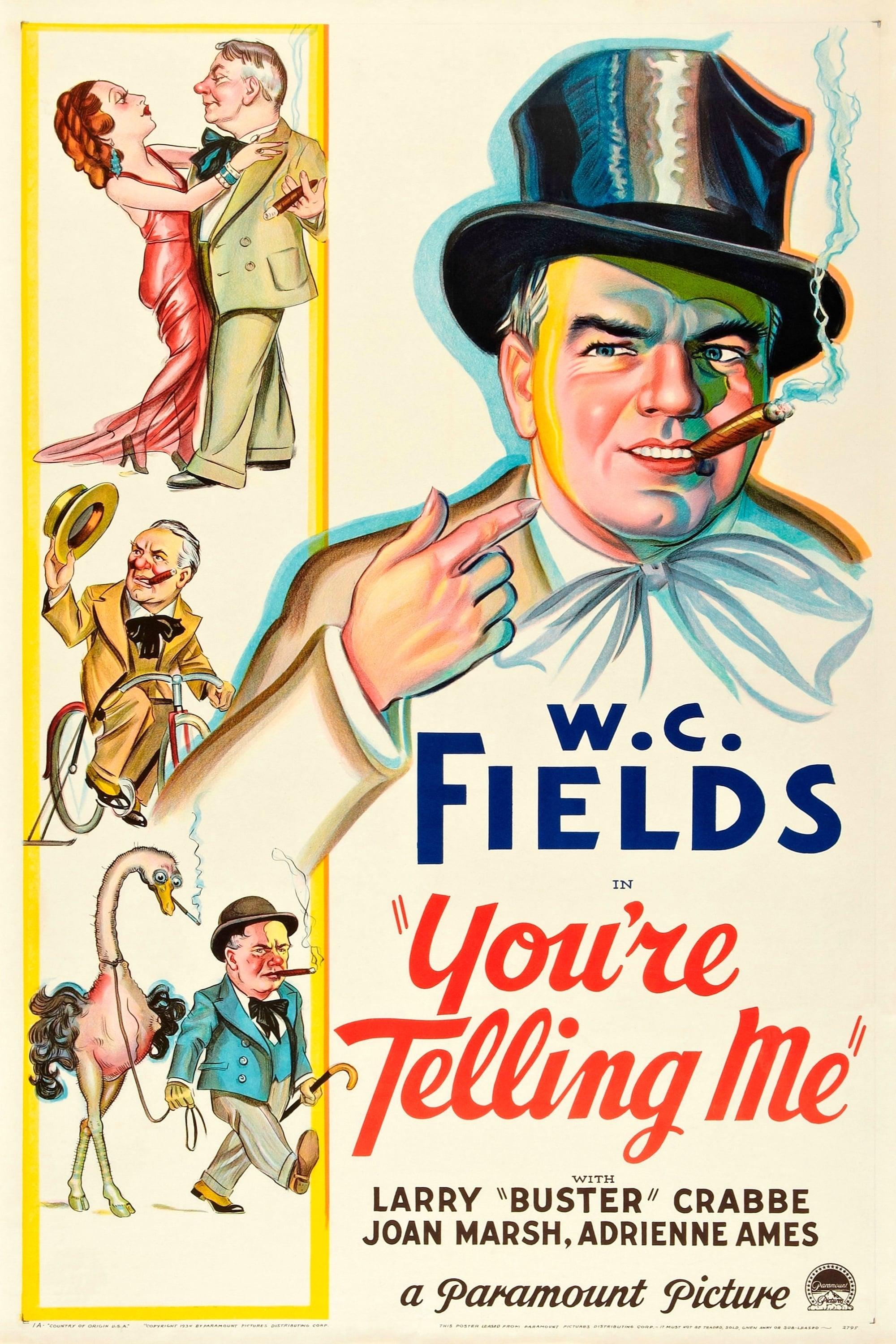 You're Telling Me! poster