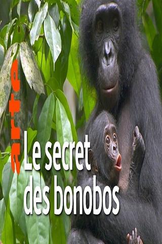 La vie cachée des bonobos poster