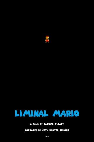 Liminal Mario poster