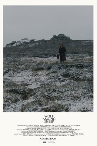 Wolf Among Sheep poster