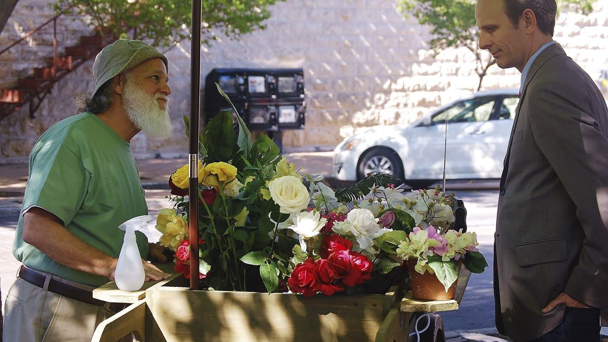 The Man Who Loved Flowers backdrop