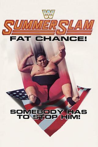 WWE SummerSlam 1993 poster