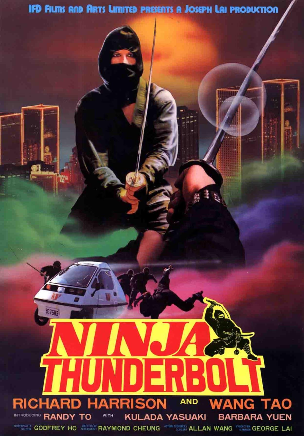 Ninja Thunderbolt poster