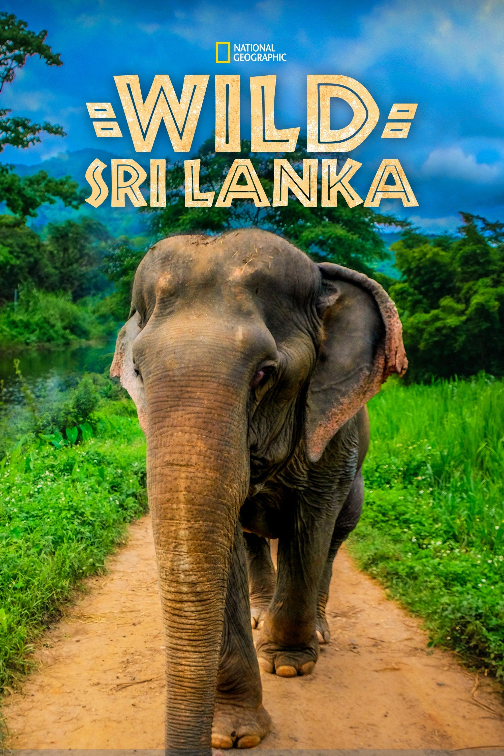 Wild Sri Lanka poster