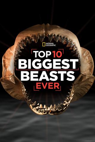 Top 10 Biggest Beasts Ever poster