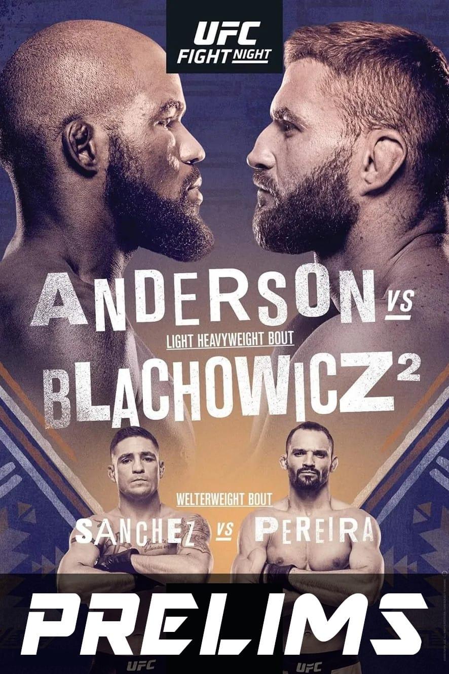 UFC Fight Night 167: Anderson vs. Błachowicz 2 poster