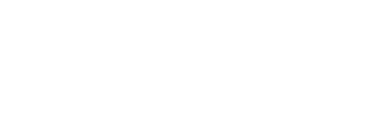 The Twilight Saga: New Moon logo