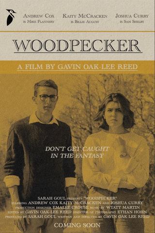 Woodpecker poster