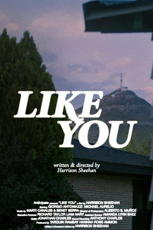 Like You poster