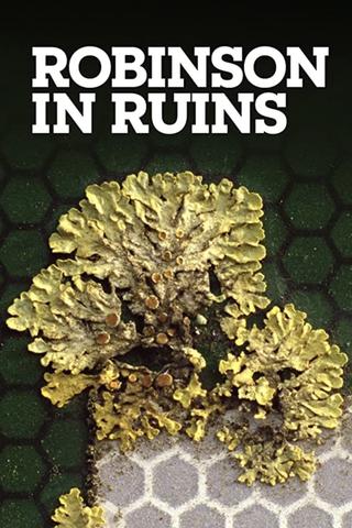 Robinson in Ruins poster