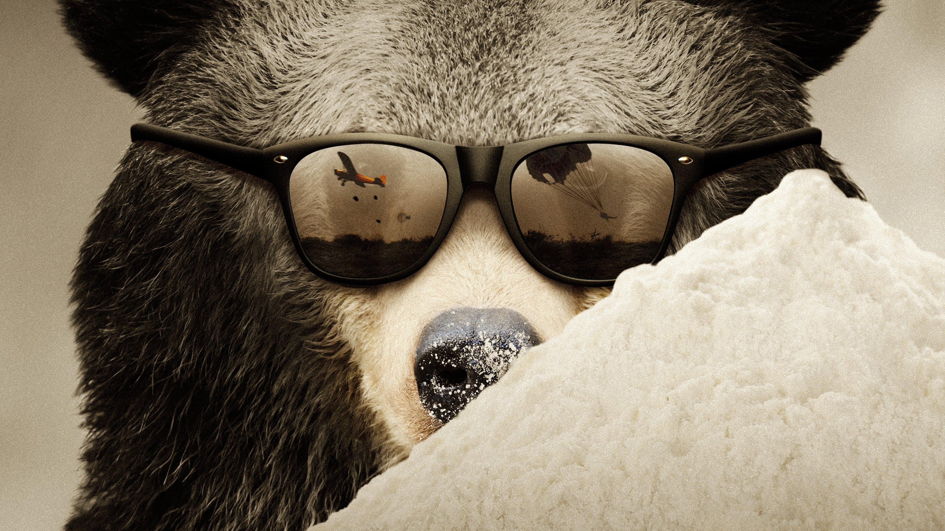 Cocaine Bear: The True Story backdrop