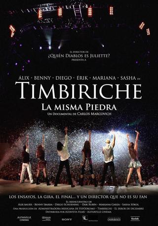 Timbiriche: La misma piedra poster