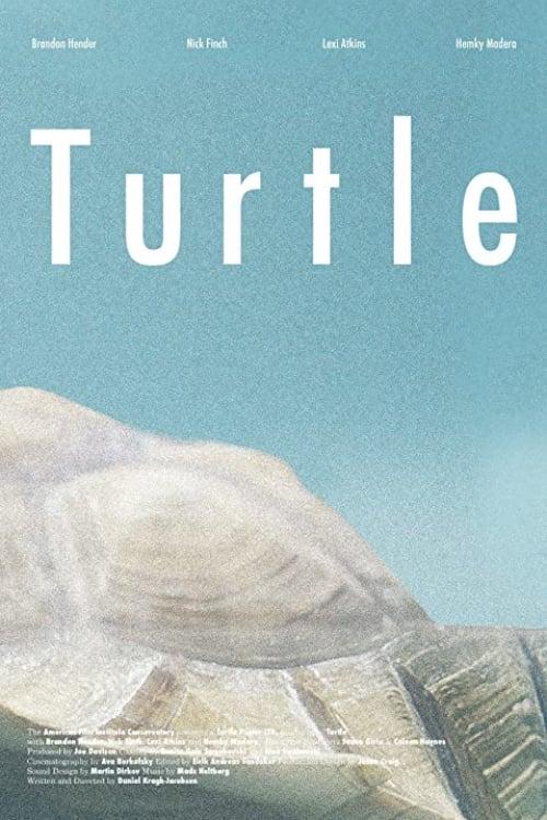 Turtle poster