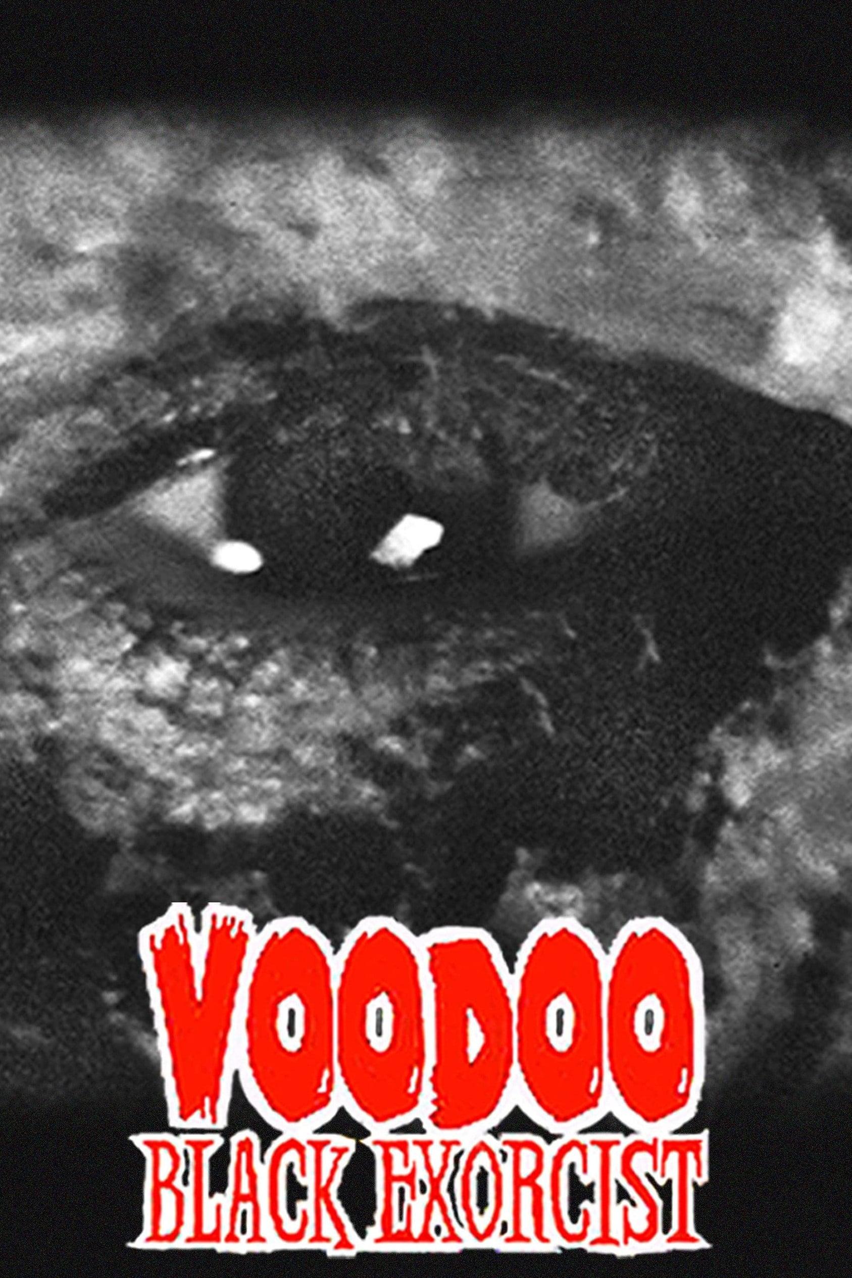 Voodoo Black Exorcist poster