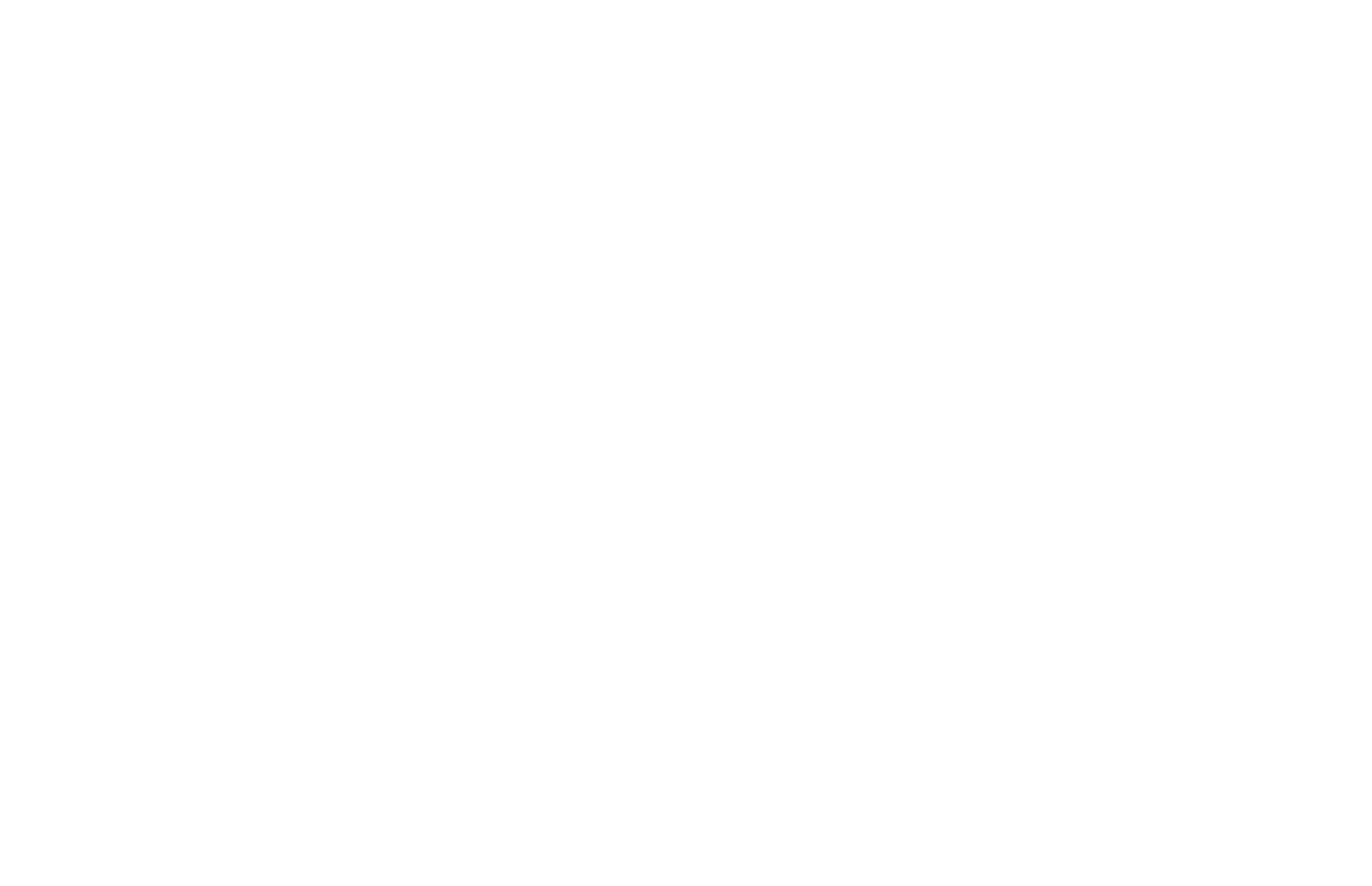 Desert Flippers logo