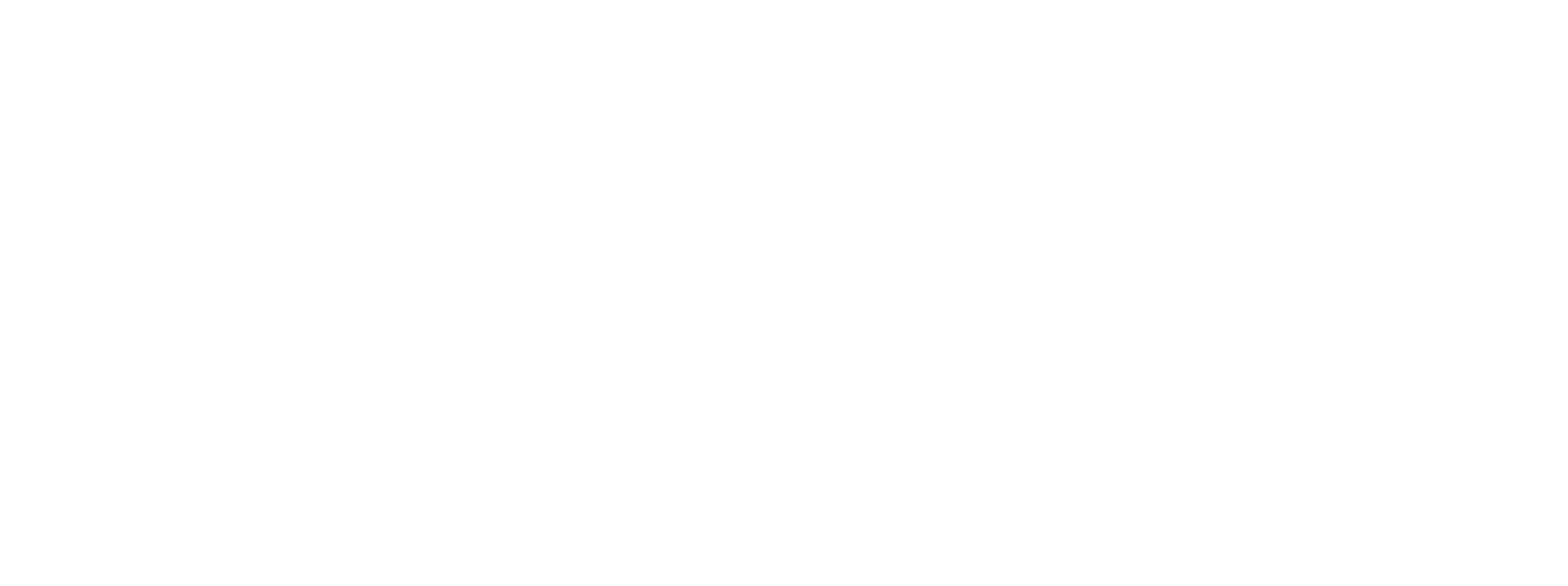 Night at the Eagle Inn logo