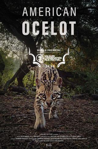 American Ocelot poster
