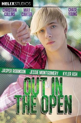Out in the Open poster