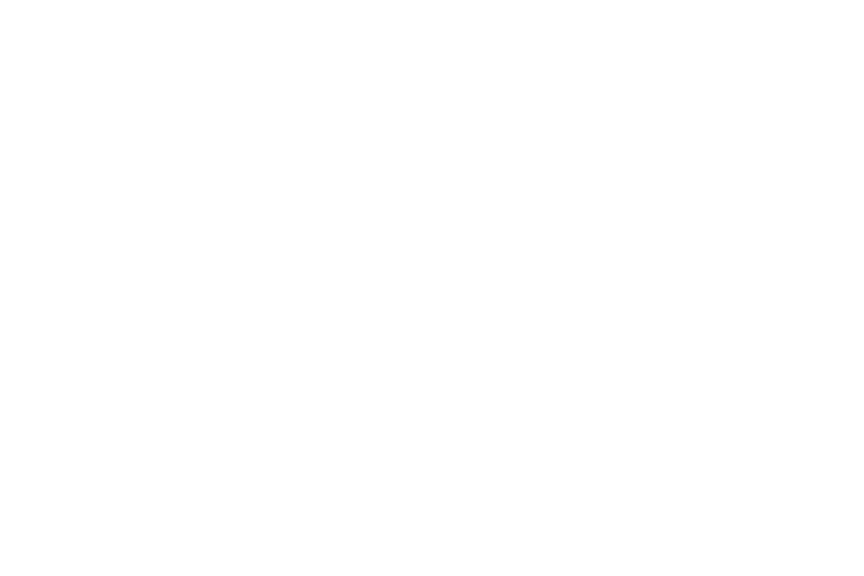 The Rise and Rise of the UFC logo