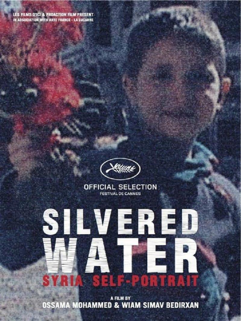 Silvered Water poster