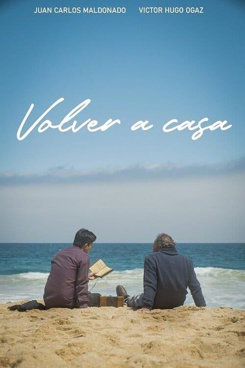 Volver a casa poster