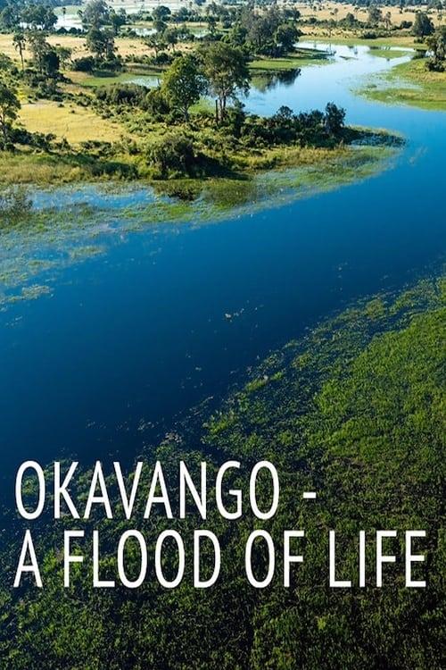 Okavango: A Flood of Life poster