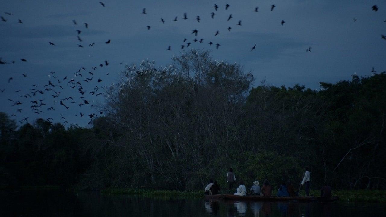 Nilton Amazonas backdrop