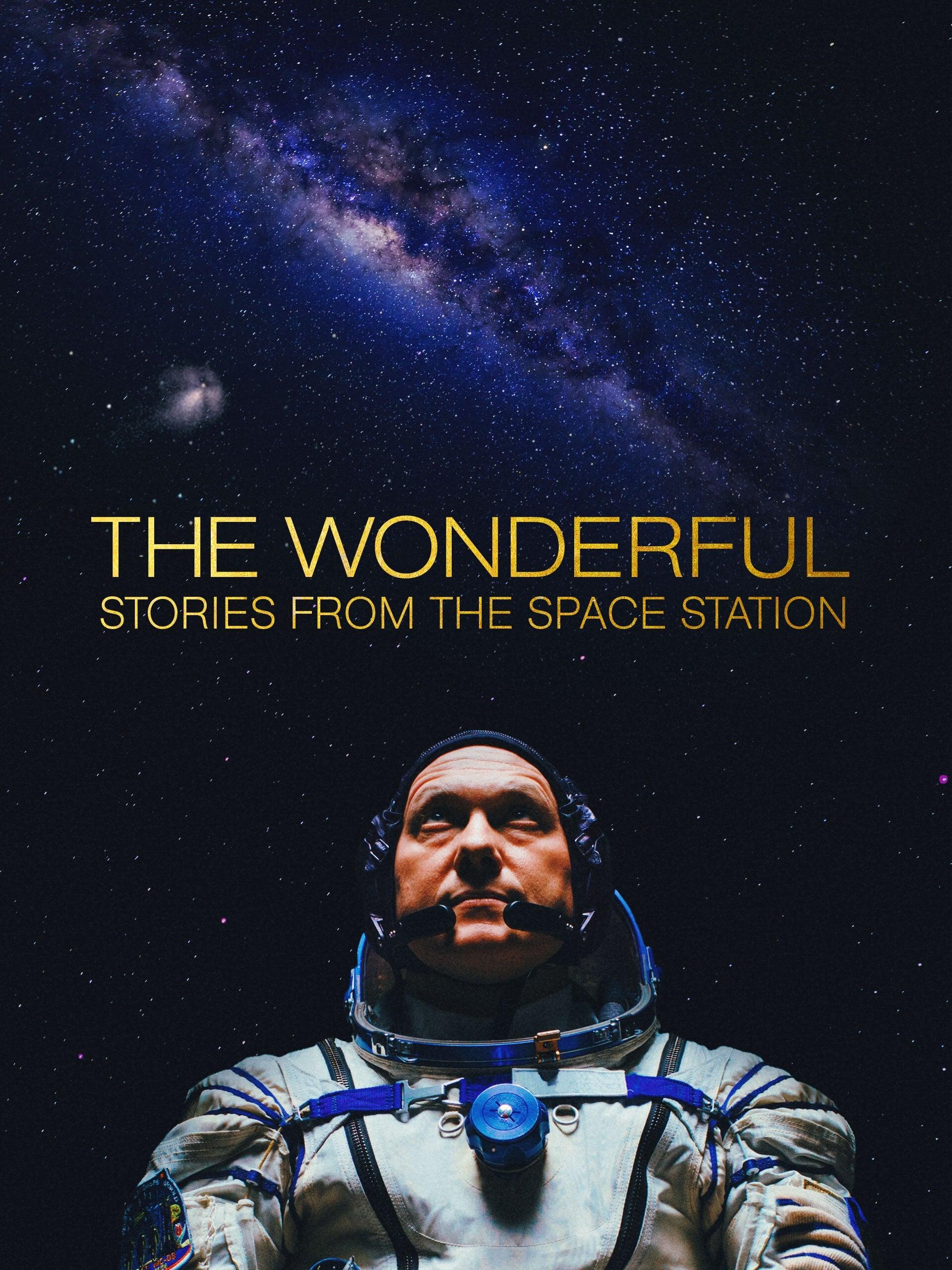 The Wonderful: Stories from the Space Station poster