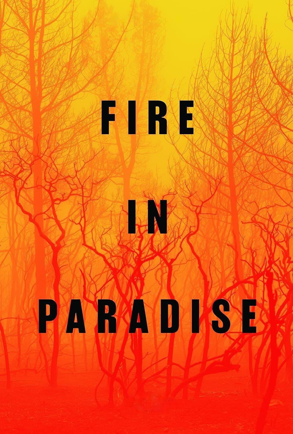 Fire in Paradise poster