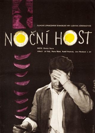 The Night Guest poster