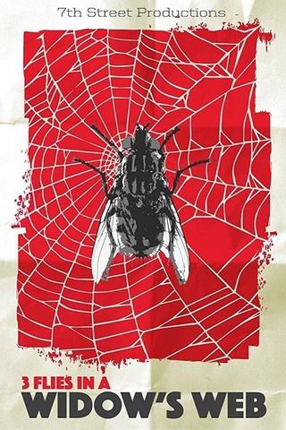 3 Flies in a Widow's Web poster