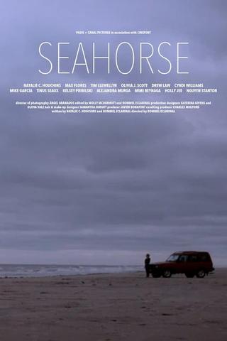 Seahorse poster