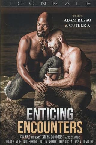 Enticing Encounters poster