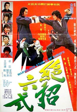 Marvelous Stunts Of Kung Fu poster