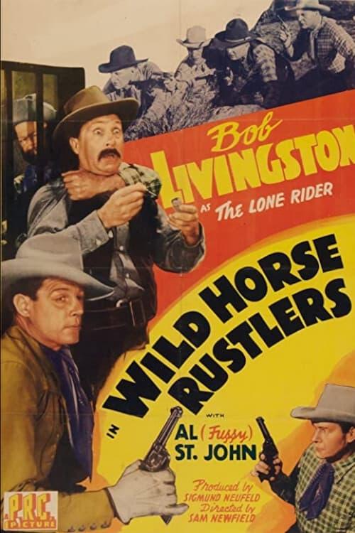 Wild Horse Rustlers poster