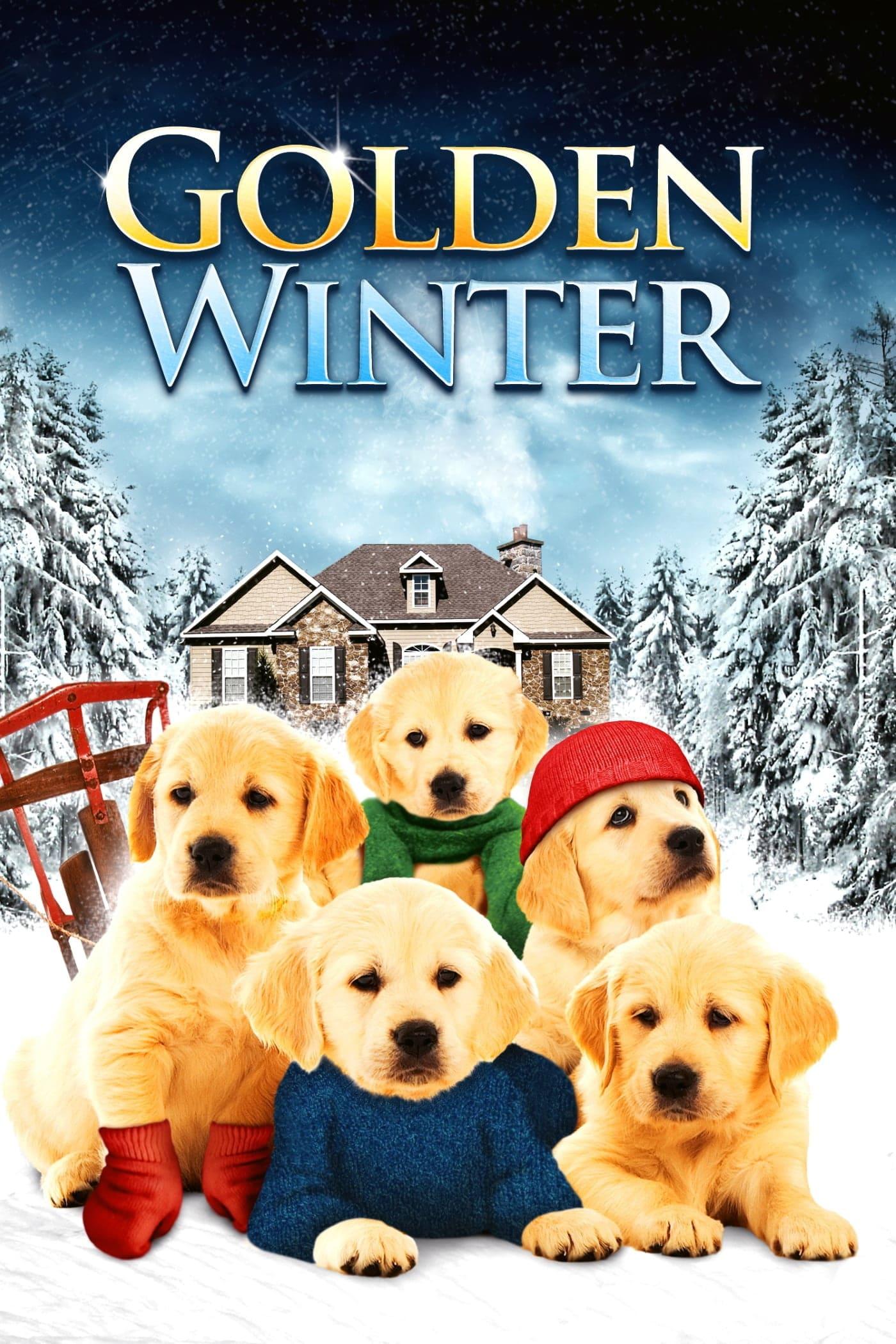 Golden Winter poster