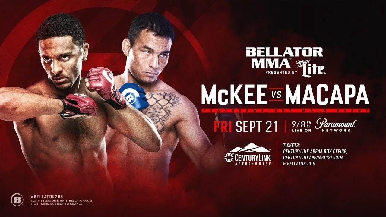 Bellator 205: McKee vs. Macapá backdrop