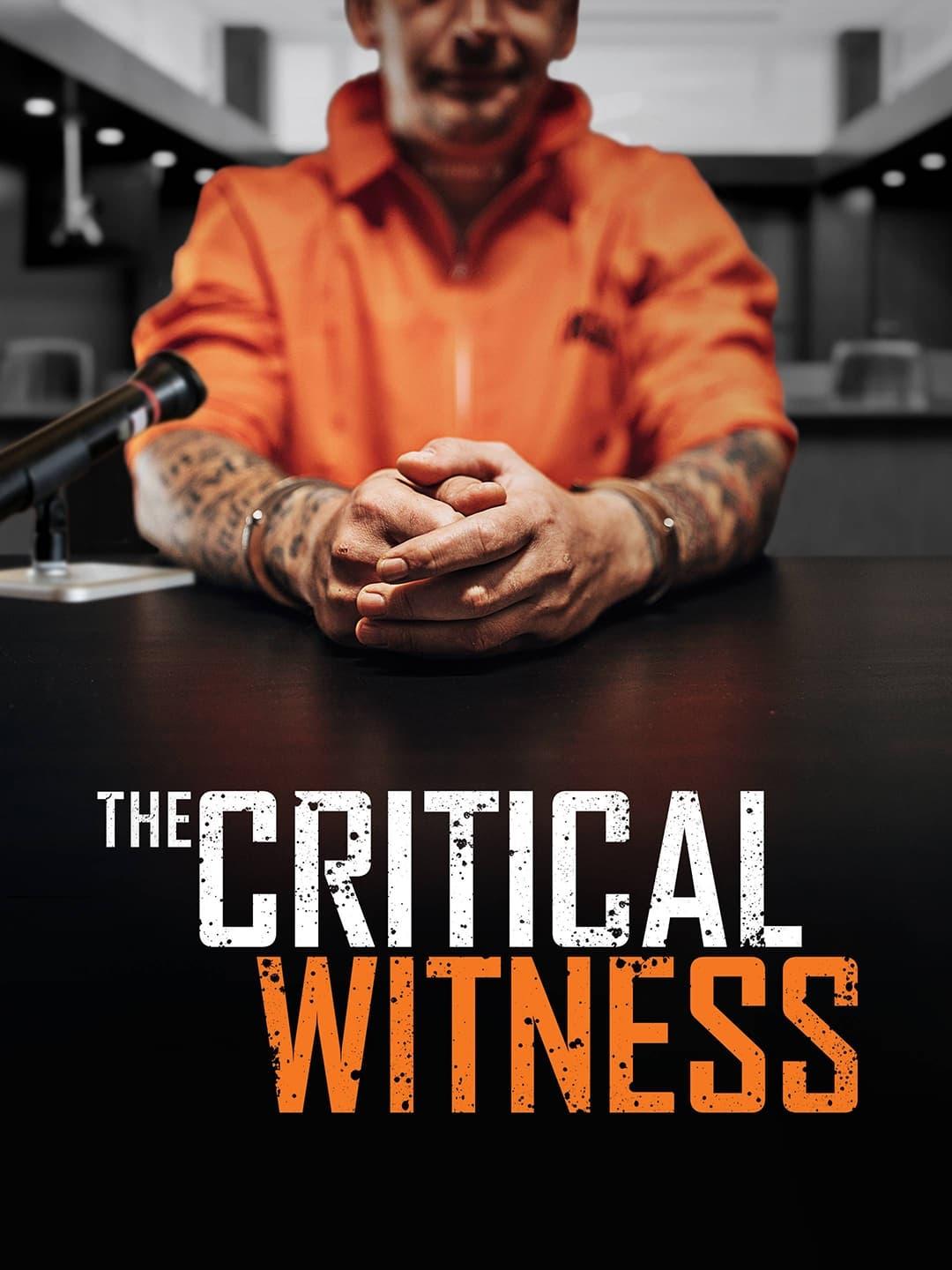 The Critical Witness poster