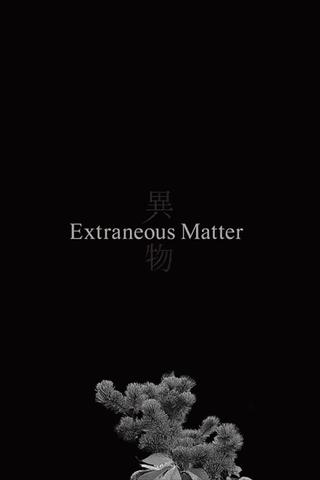 Extraneous Matter poster