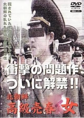 북한 고급 매춘녀 poster